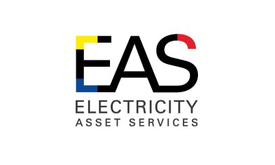 Electricity Asset Services Logo