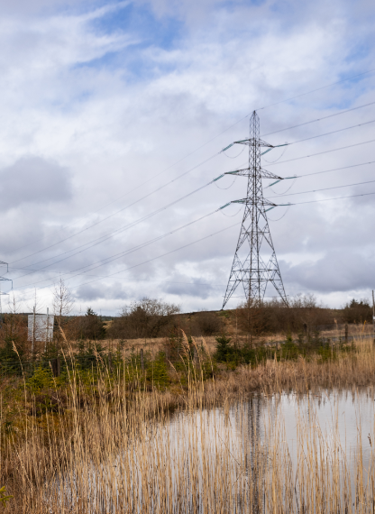 Transmission tower and water - biodiversity