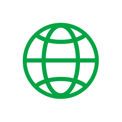 Globe Wireframe Icon