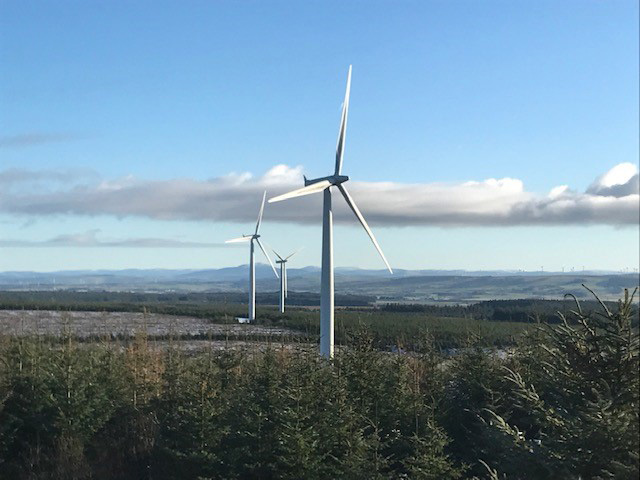 Windmills rising high above a field of saplings 