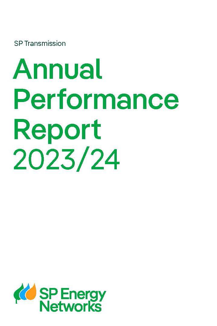 annual_performance_report_mockup