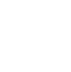charge icon