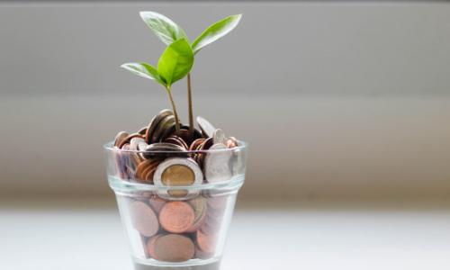 Photo of a leafy twig growing from a glass of coins