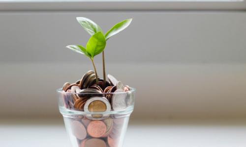 Photo of a leafy twig growing out of a glass jar of coins