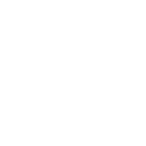 globe wireframe icon